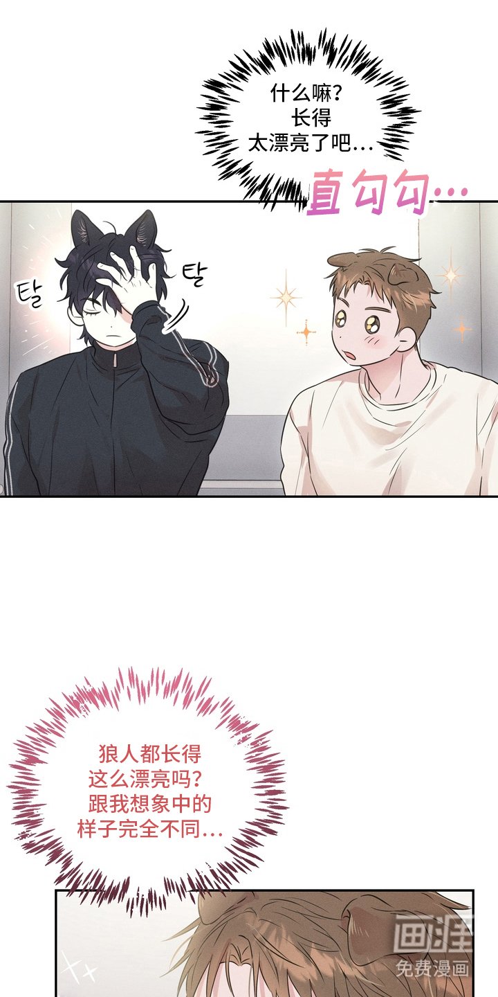 第3章：面相