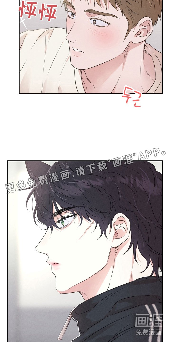 第3章：面相