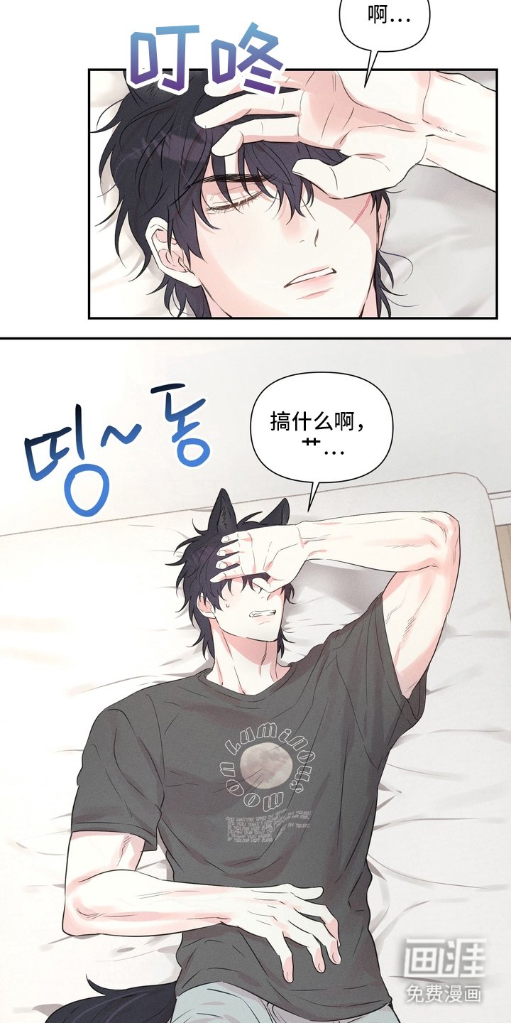 第3章：面相