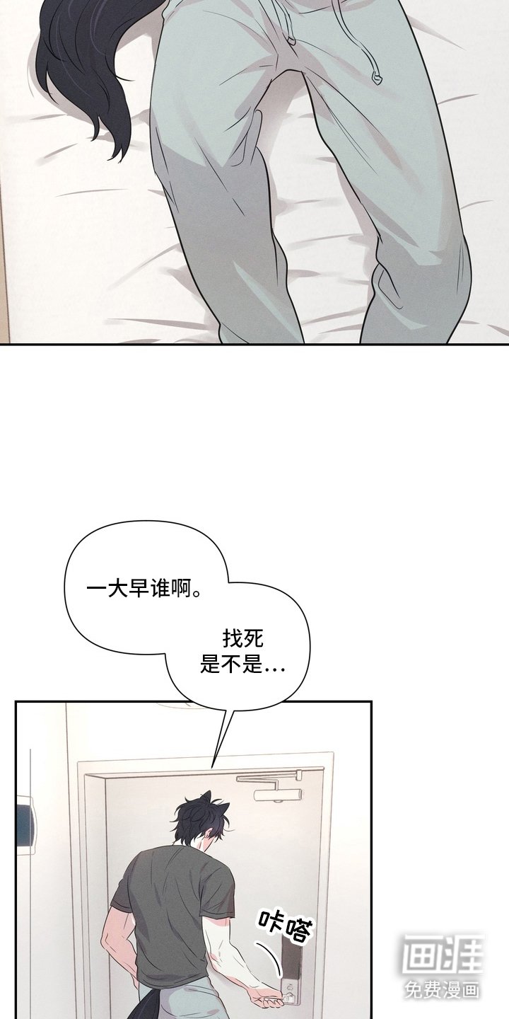 第3章：面相