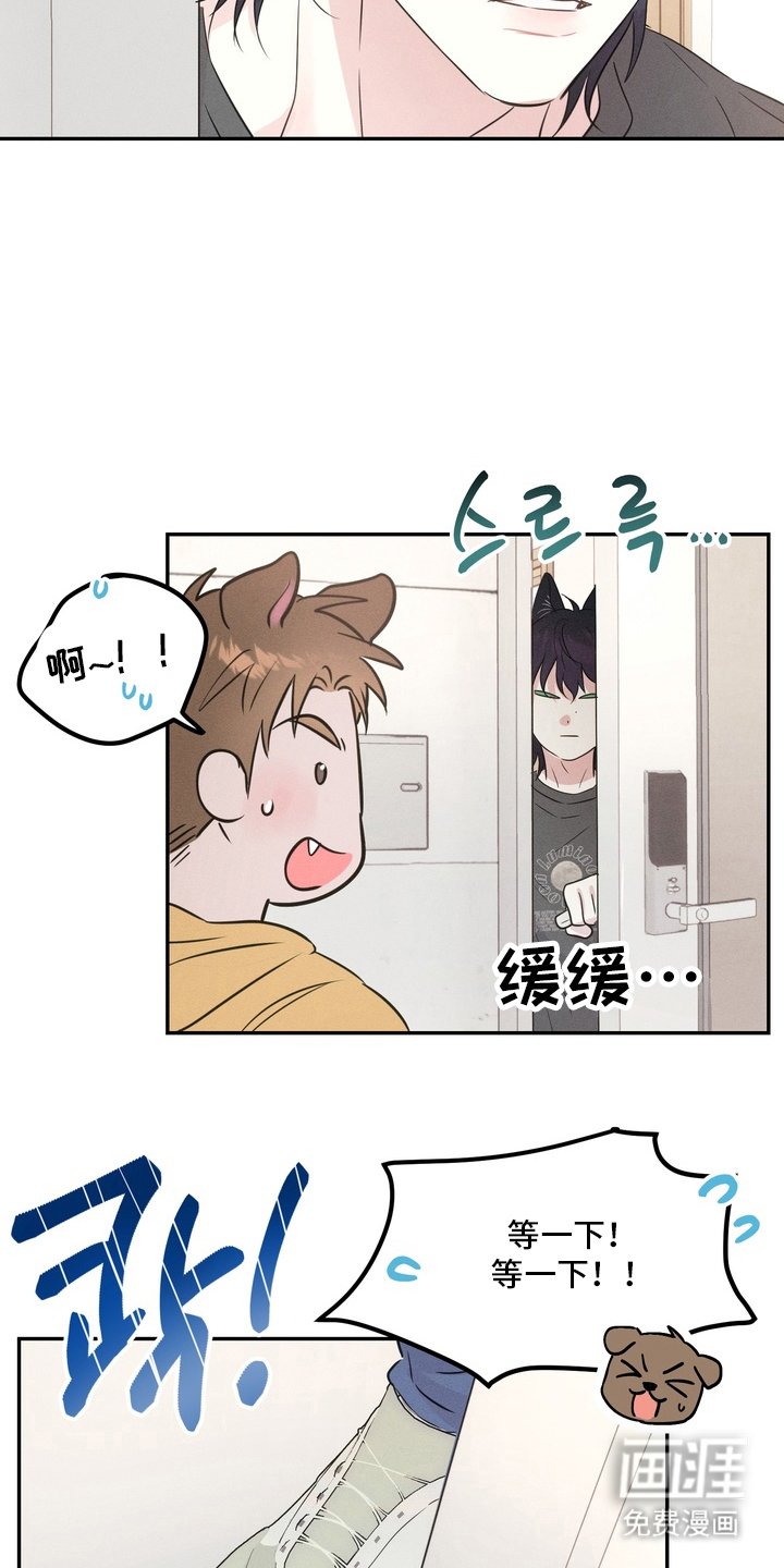 第3章：面相