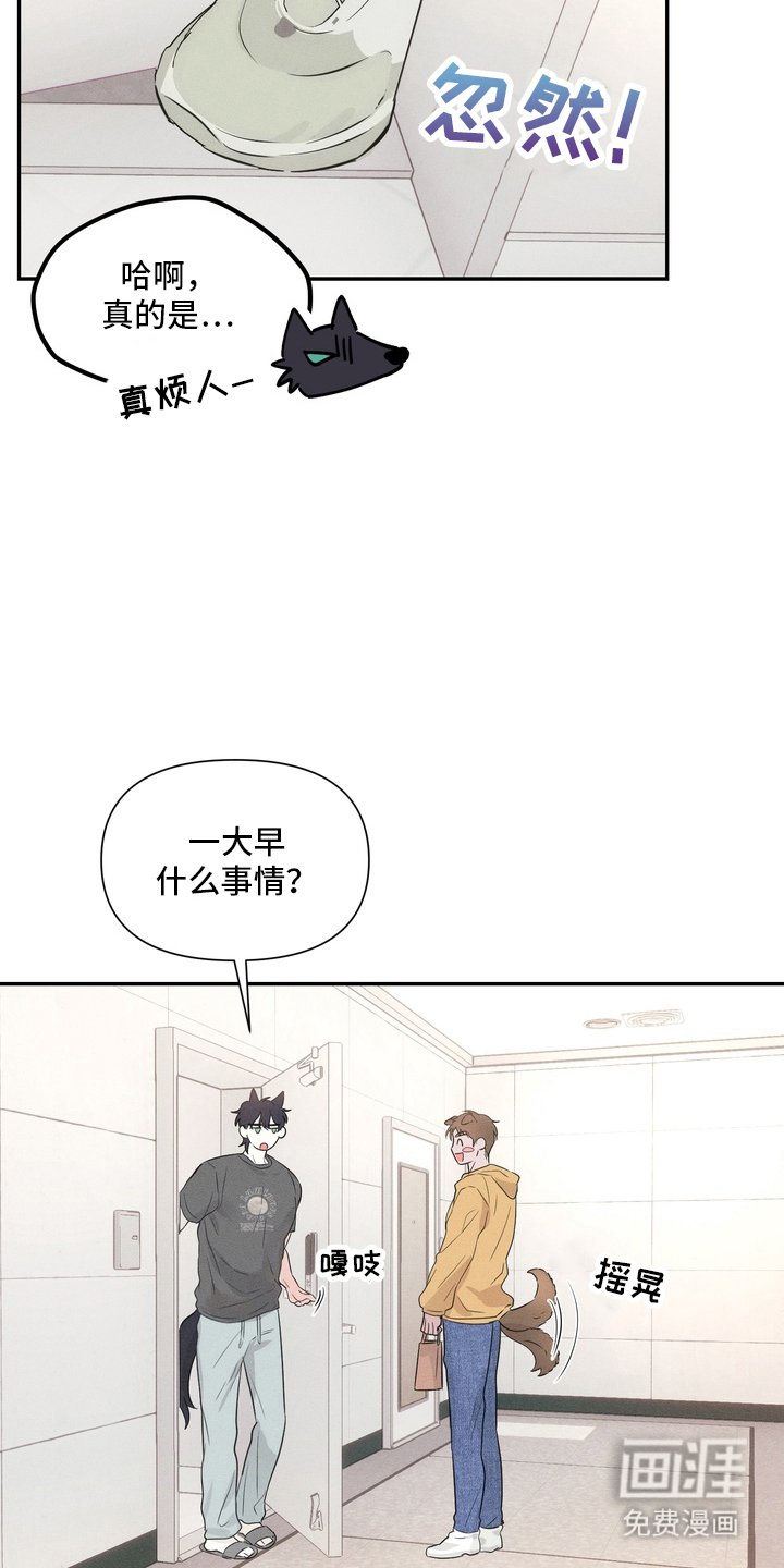 第3章：面相