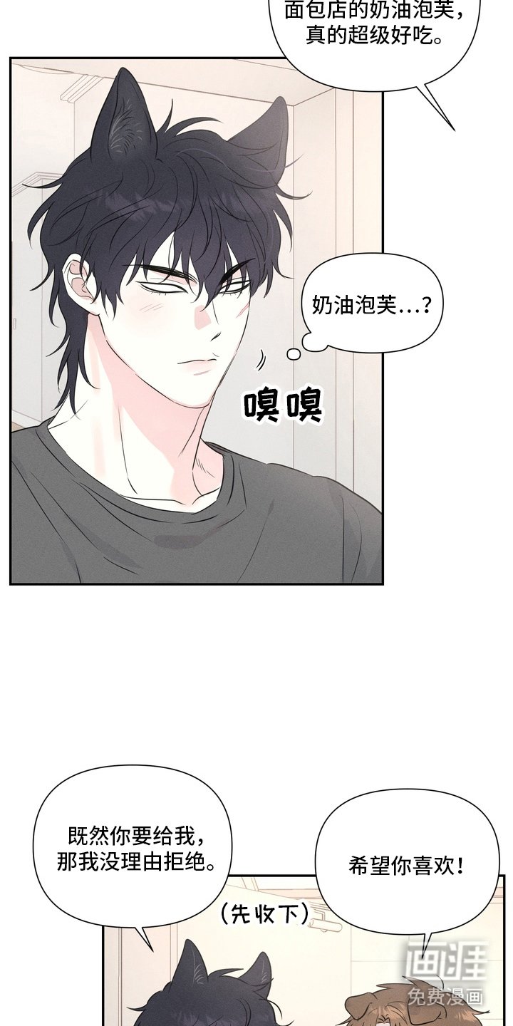 第3章：面相