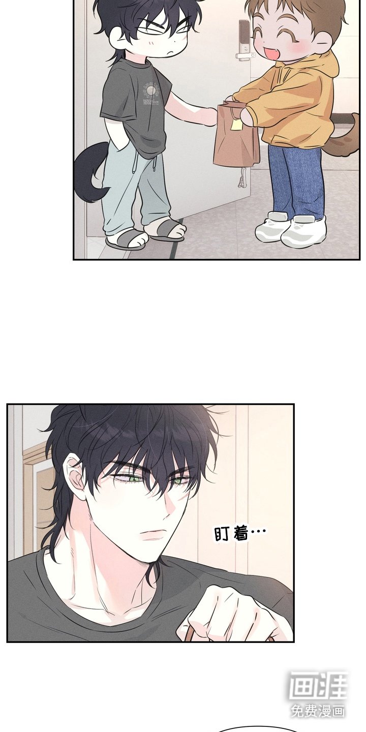 第3章：面相