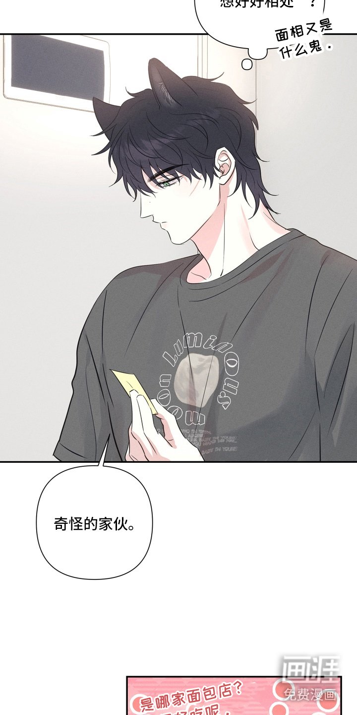 第3章：面相