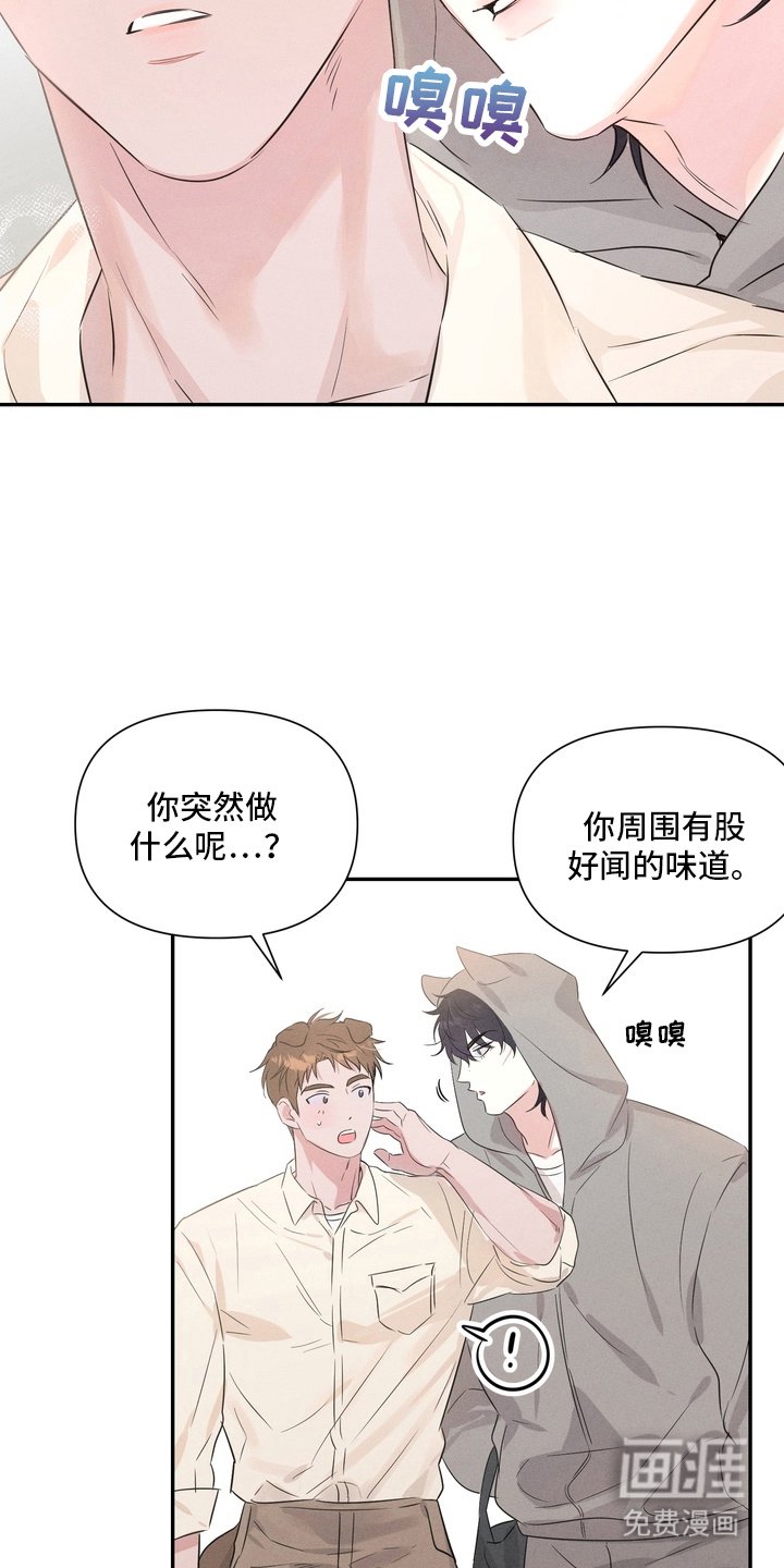 第4章：好闻的味道