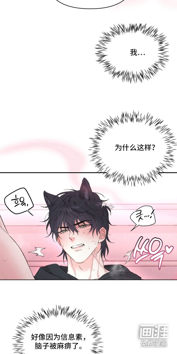 第7章：需要准备