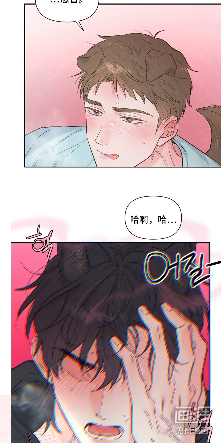 第7章：需要准备