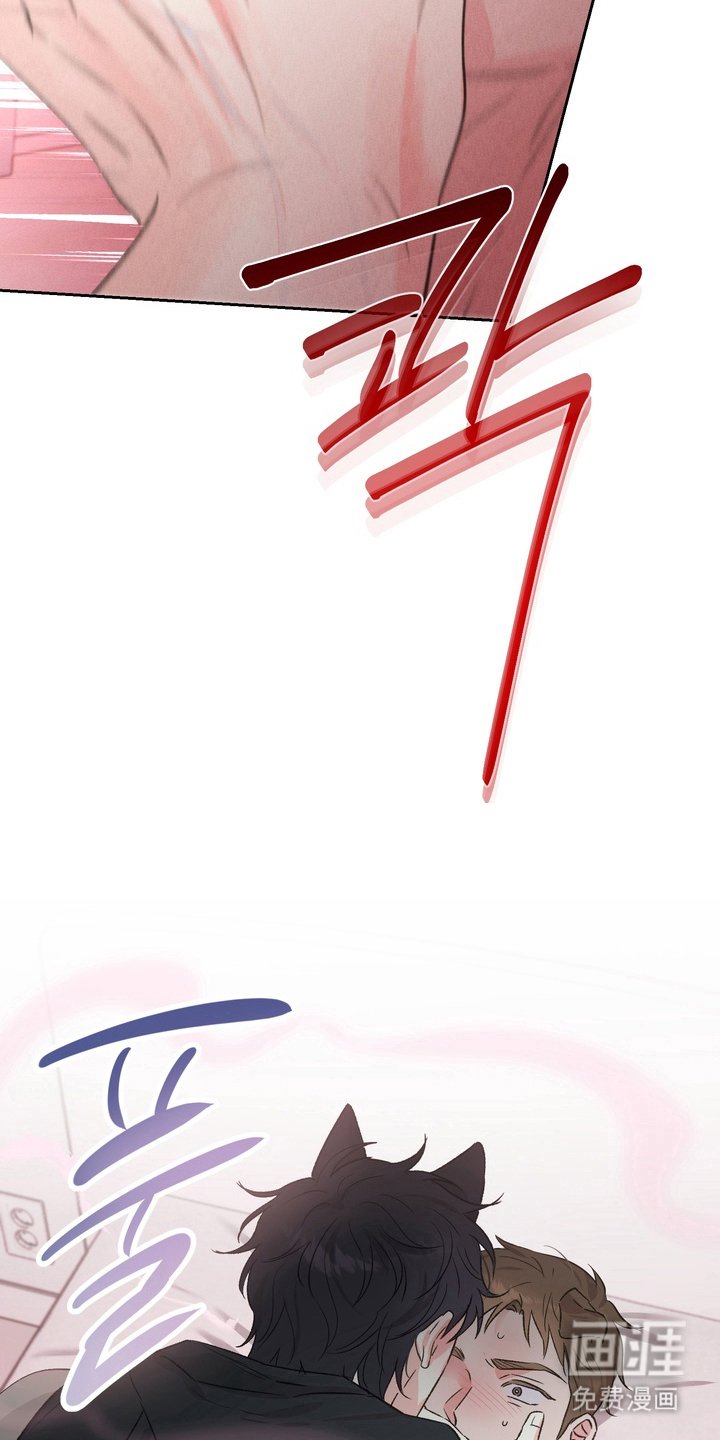 第7章：需要准备