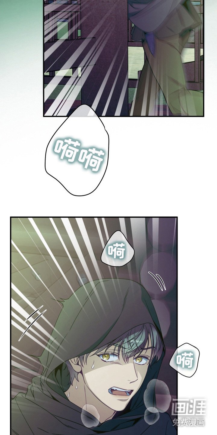 第2章：净化之火