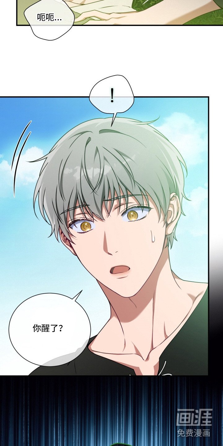 第4章：测试