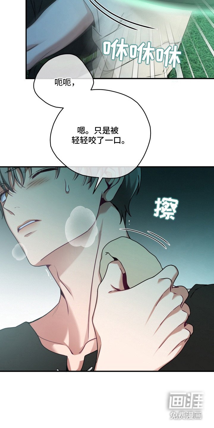 第4章：测试