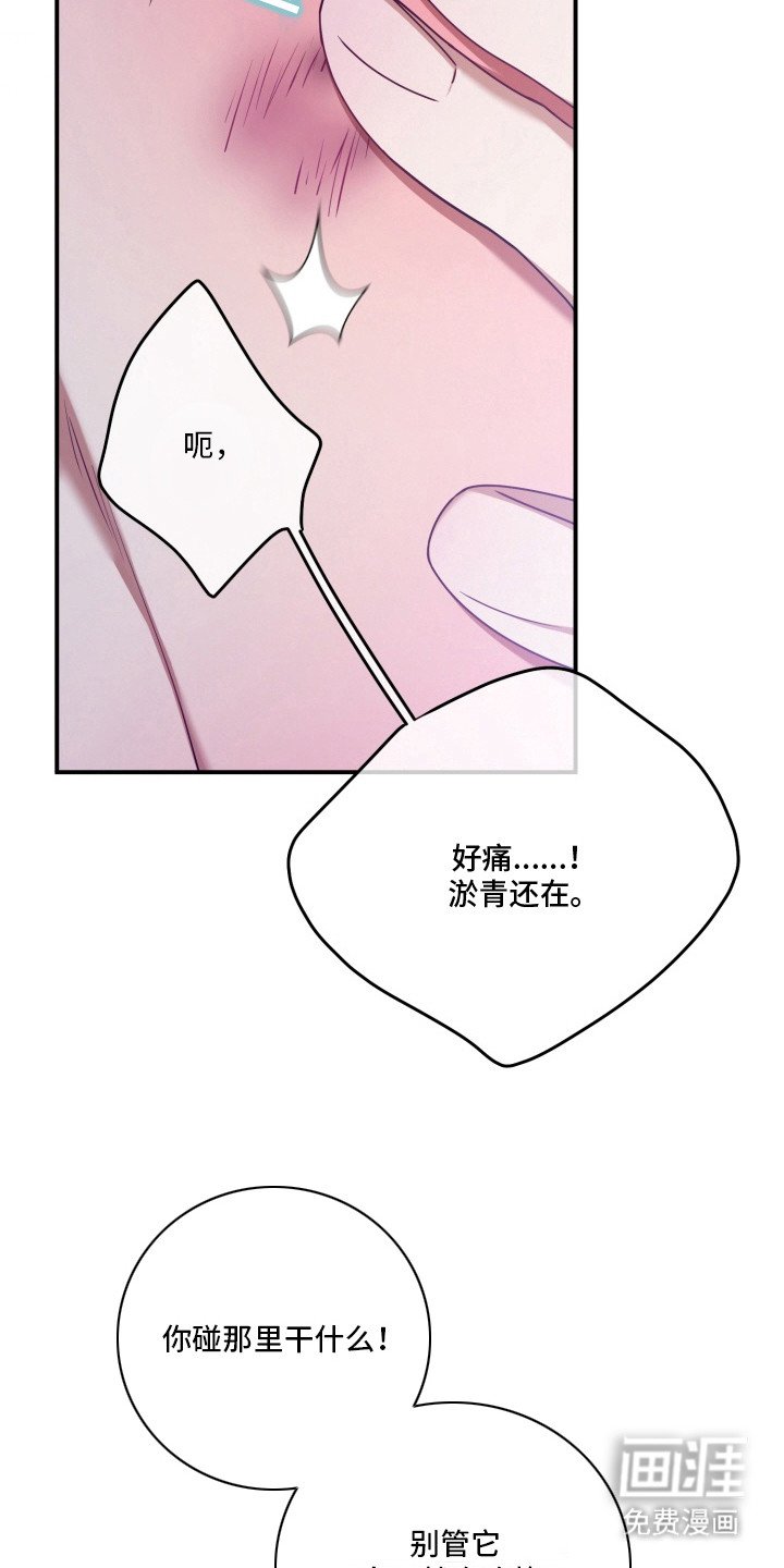第7章：观战