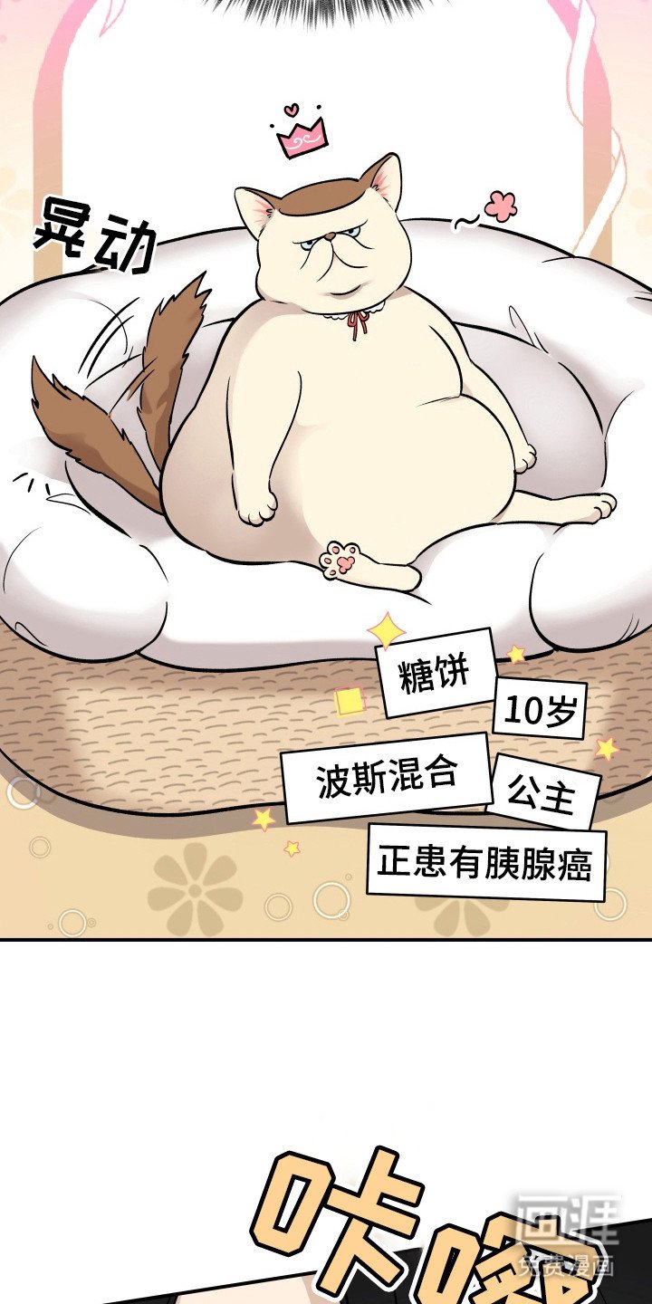 第2章：紧张