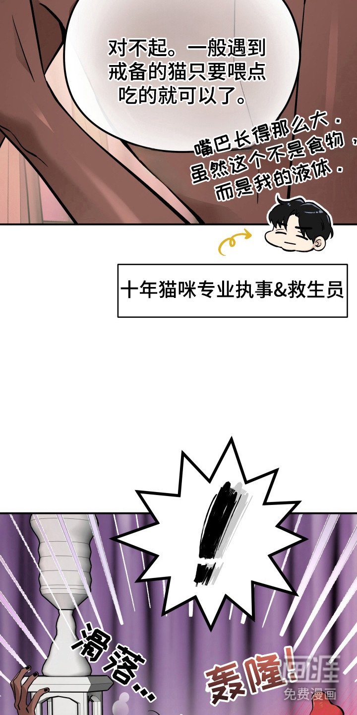 第5章：头晕目眩