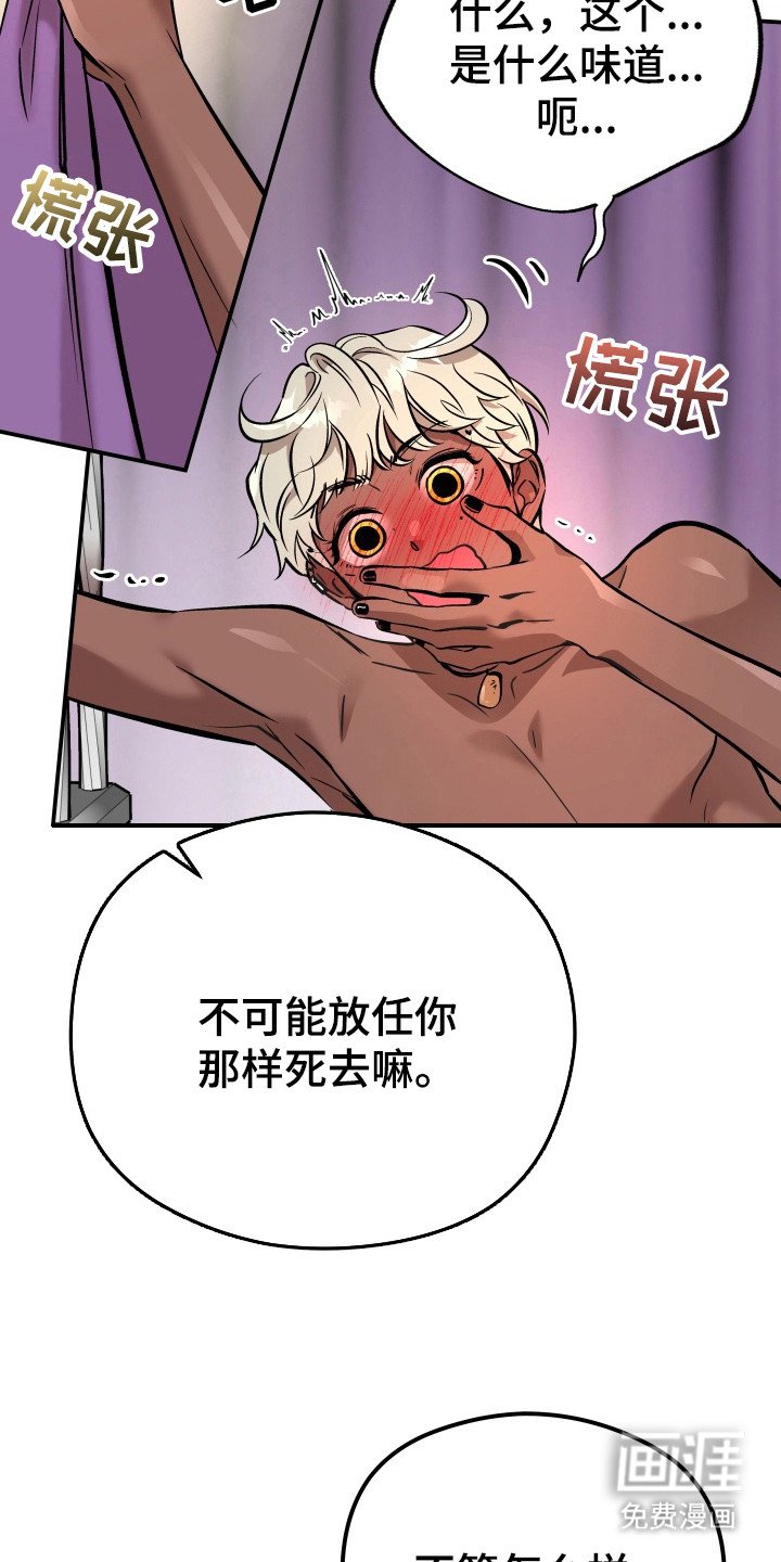第5章：头晕目眩