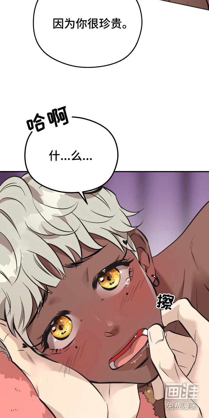 第5章：头晕目眩