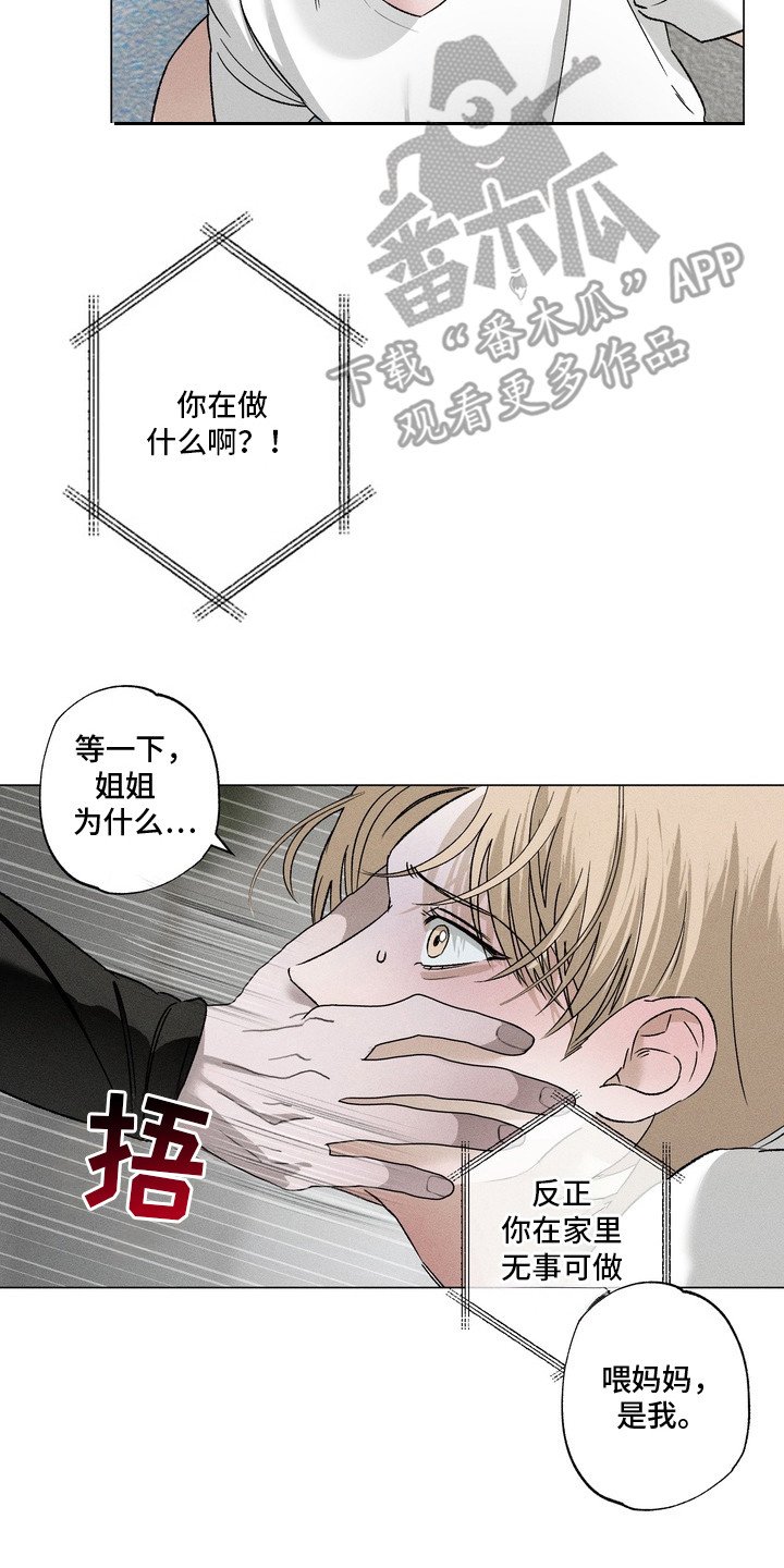 第10章：电话