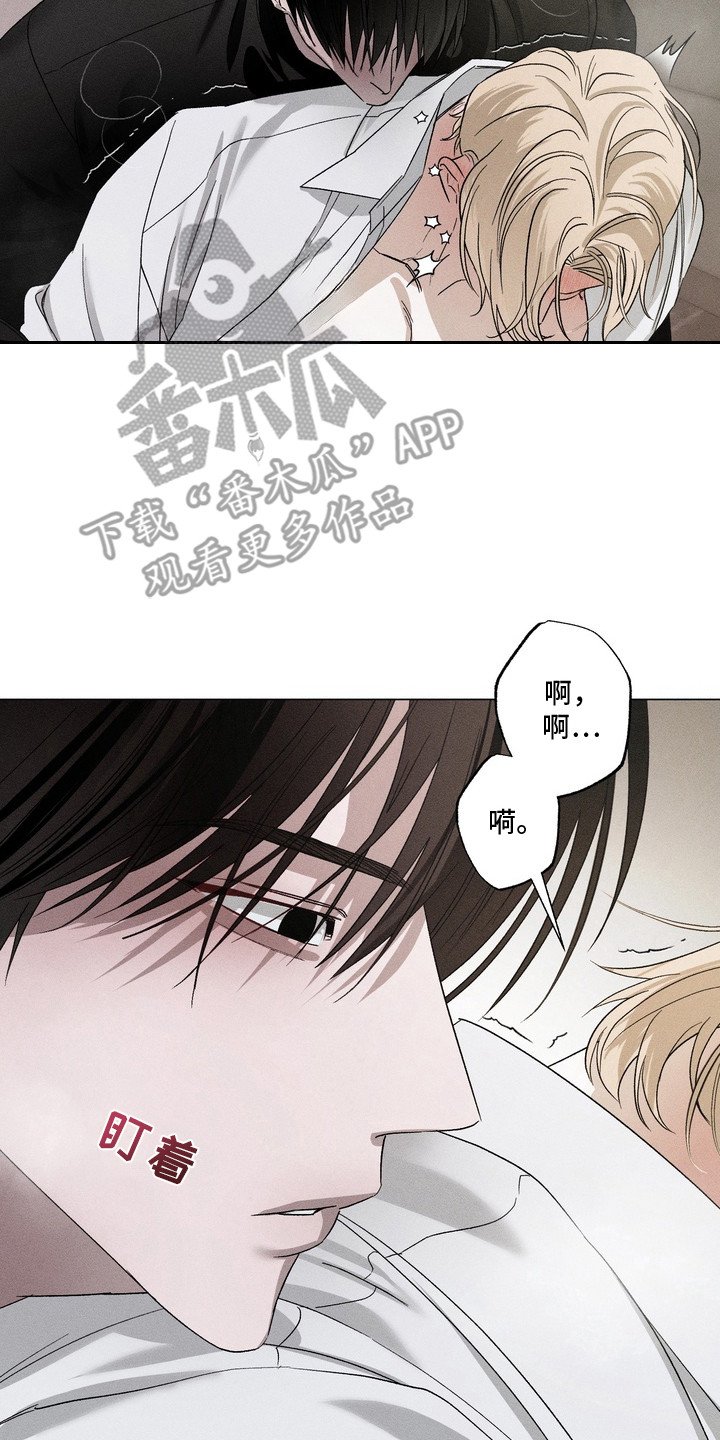 第4章：我行我素