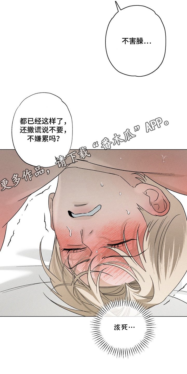 第7章：镜子