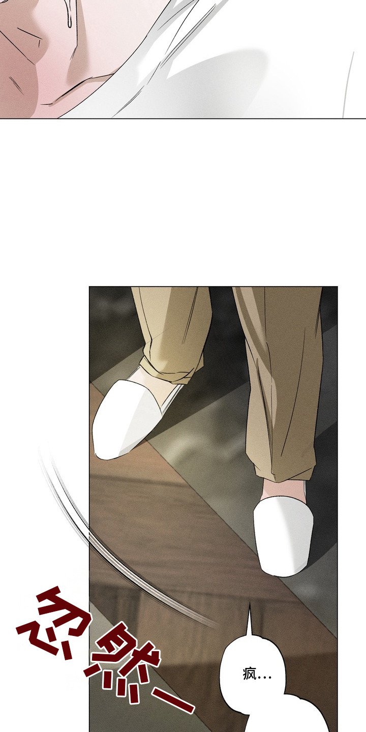 第9章：目睹