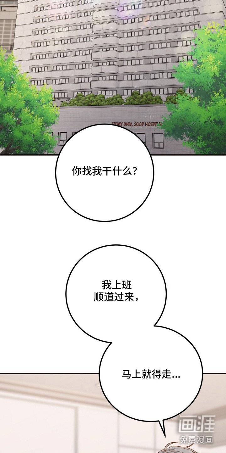 第12章：家族争斗