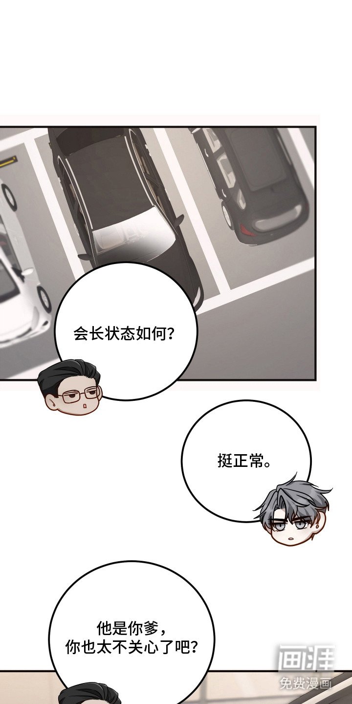 第13章：过敏