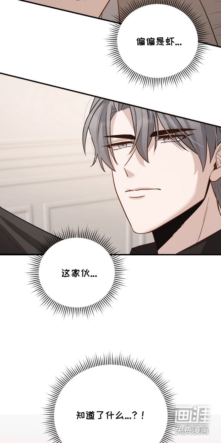 第13章：过敏