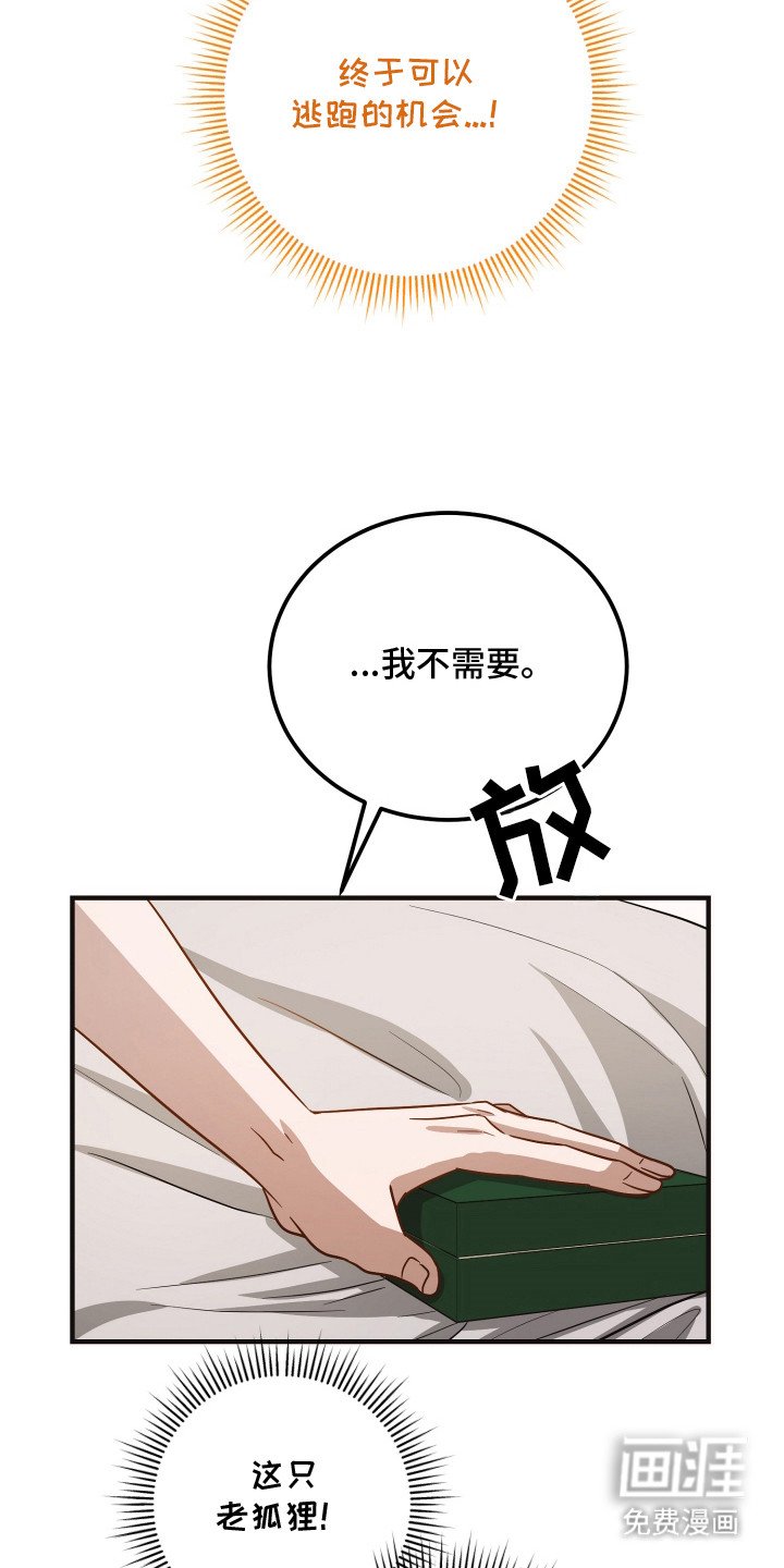 第15章：礼物