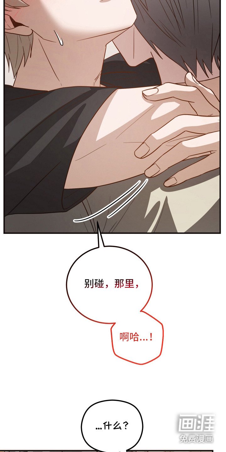 第17章：不敢乱动