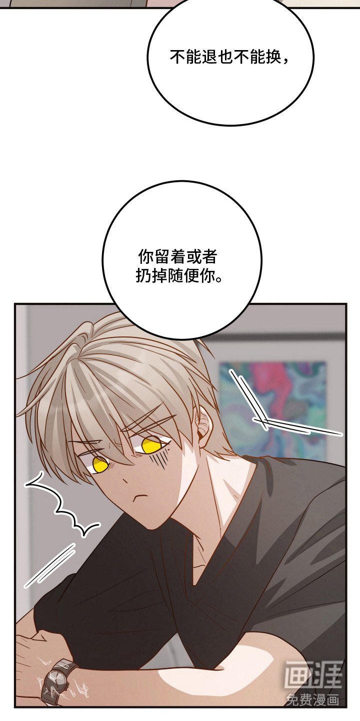 第17章：不敢乱动