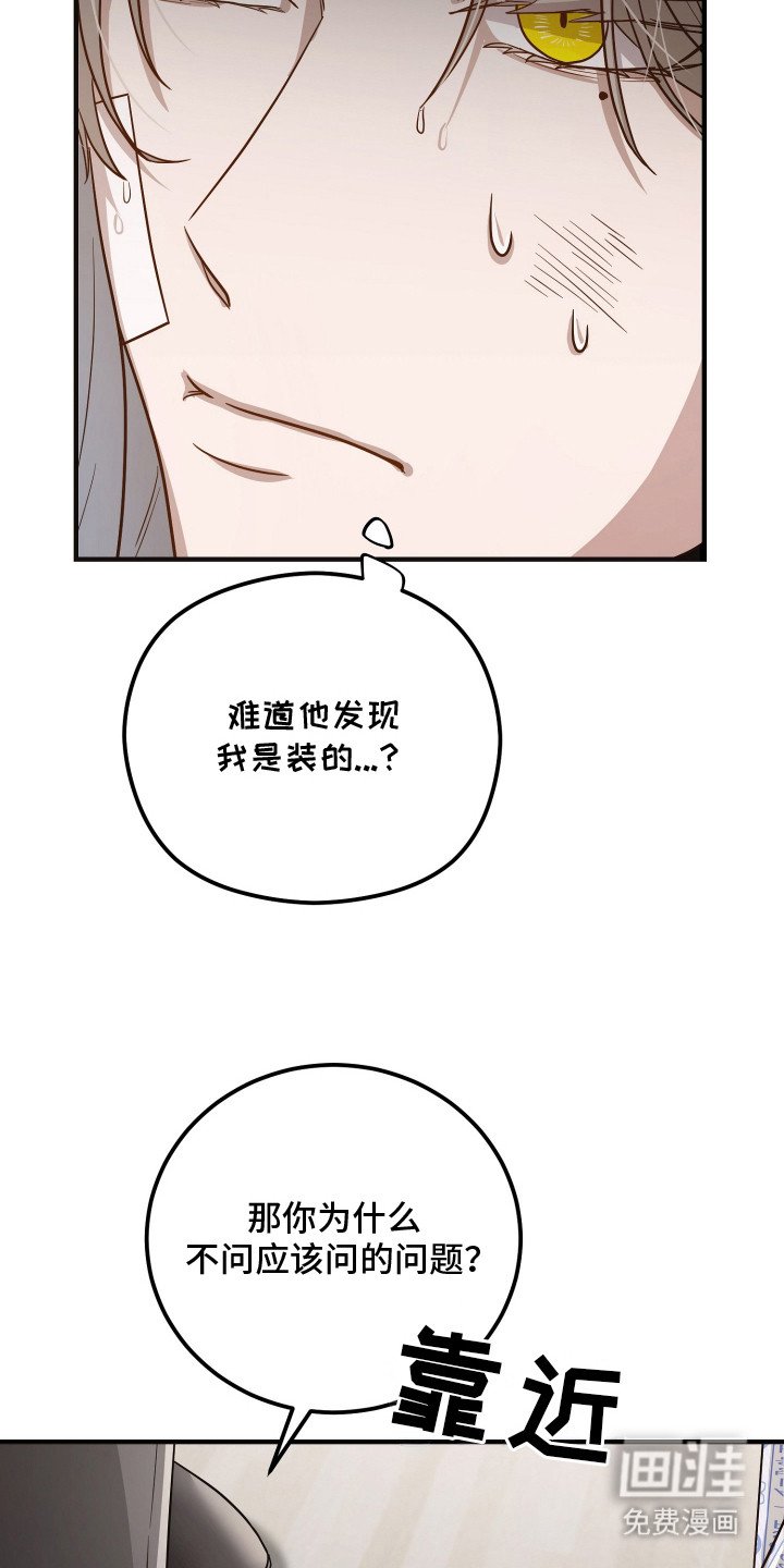 第2章：胡说八道