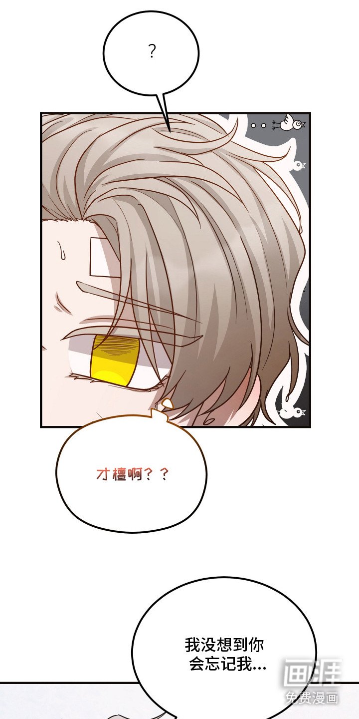 第2章：胡说八道