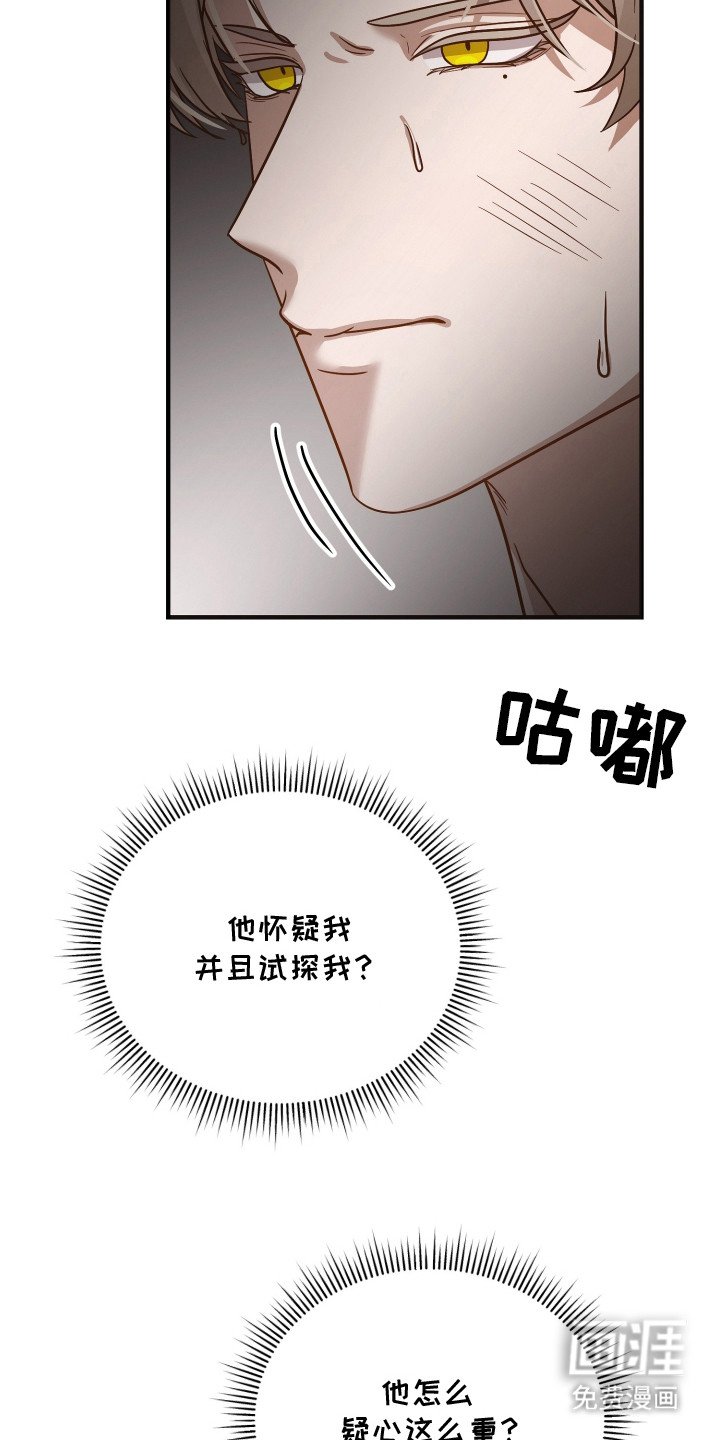 第3章：怀疑 