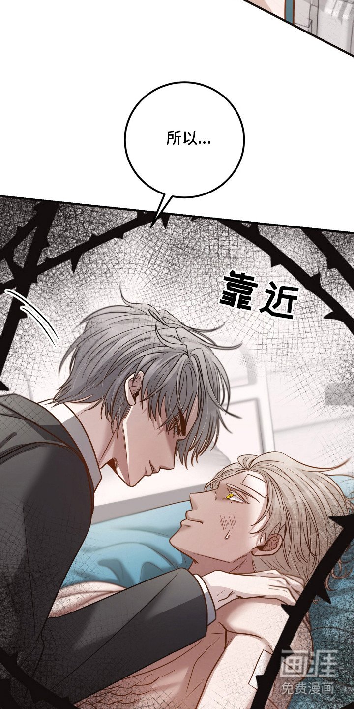 第3章：怀疑 