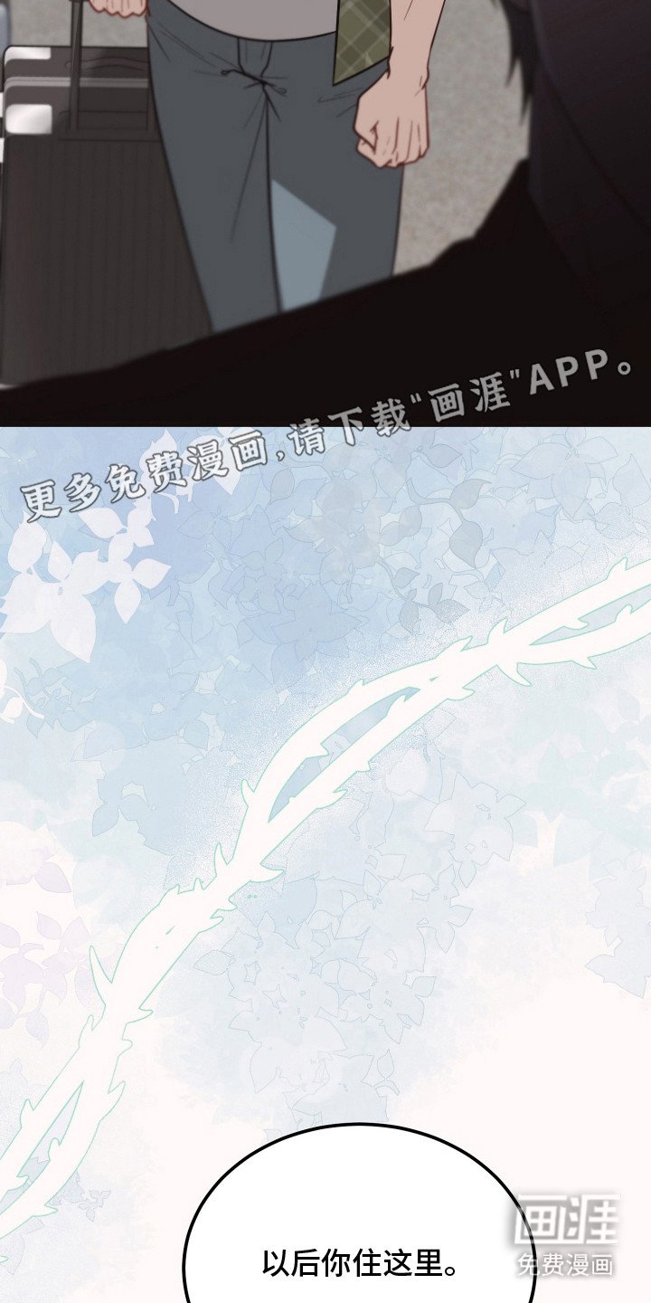 第3章：怀疑 