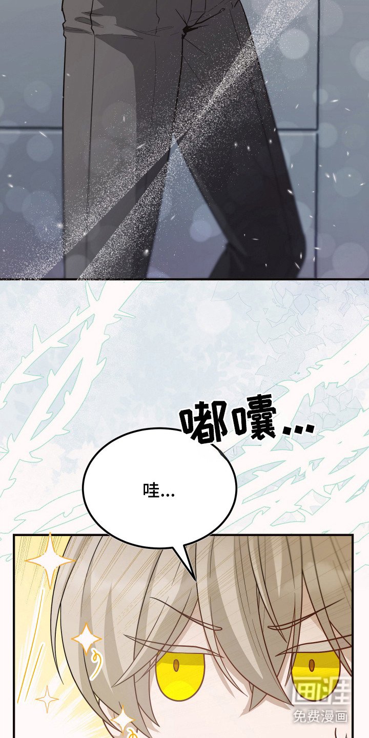 第3章：怀疑 