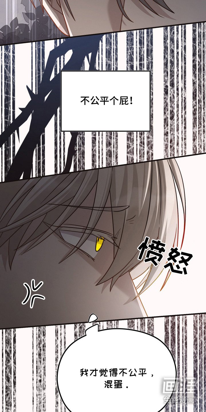 第3章：怀疑 