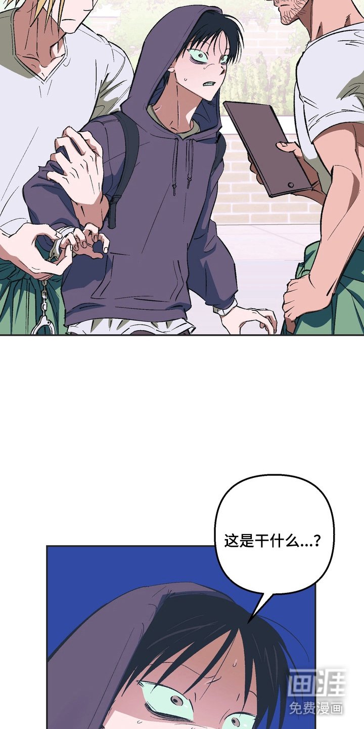 第2章：举报