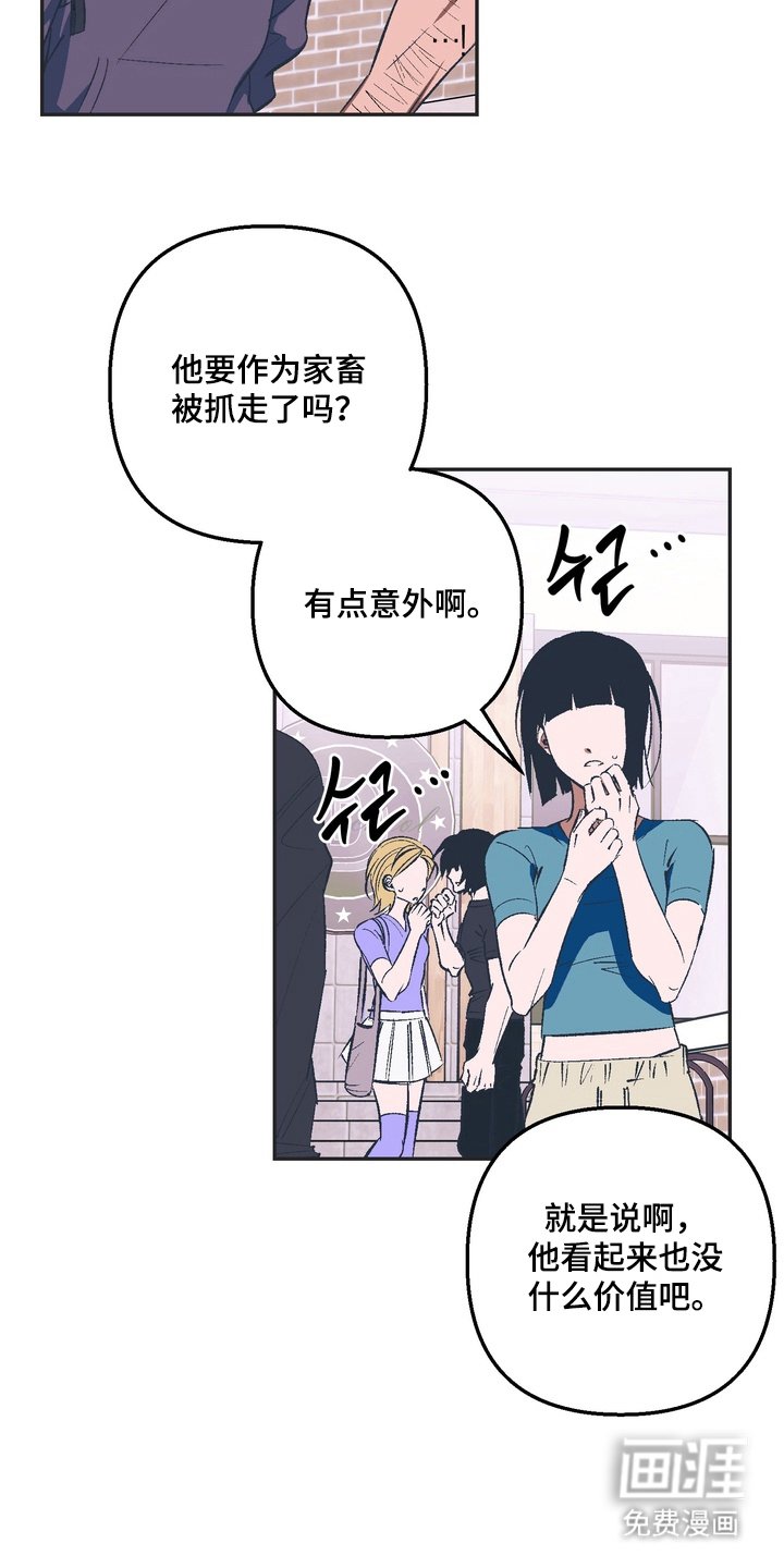 第2章：举报