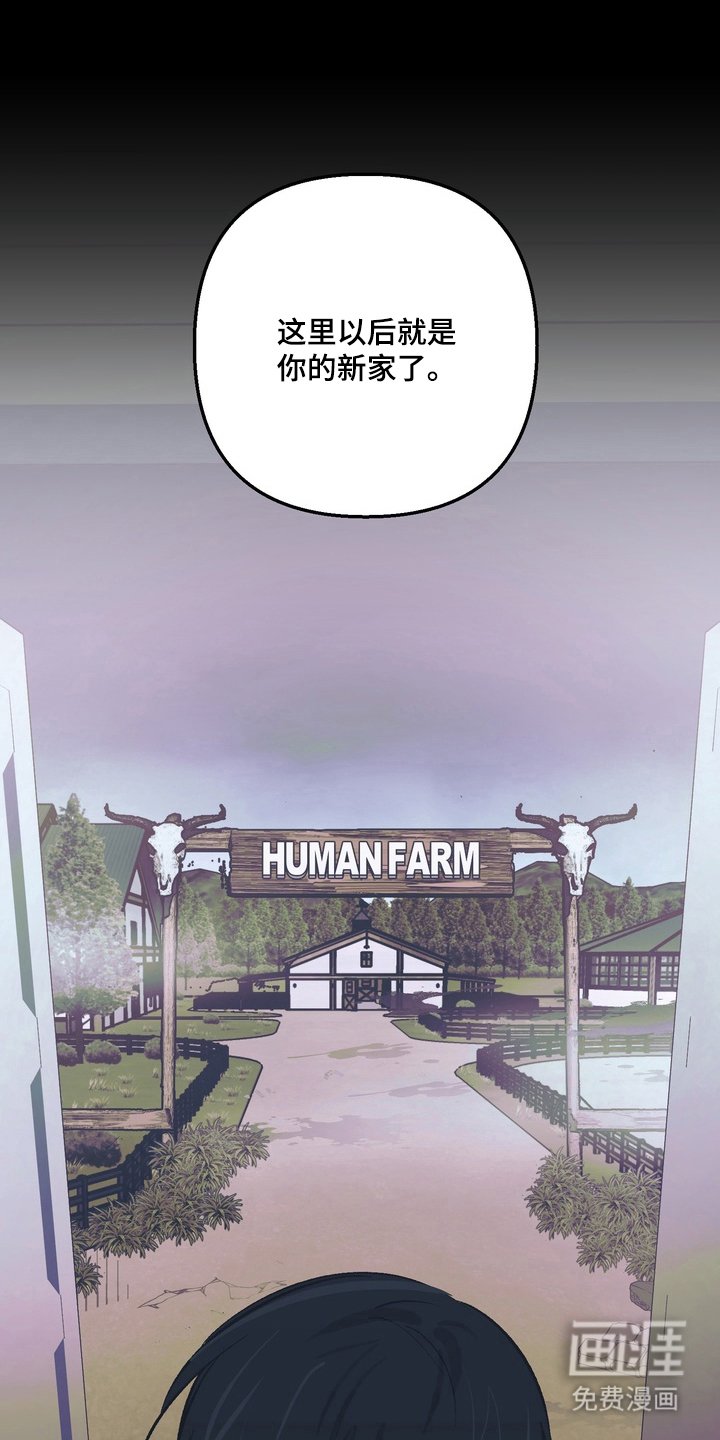 第3章：救救我