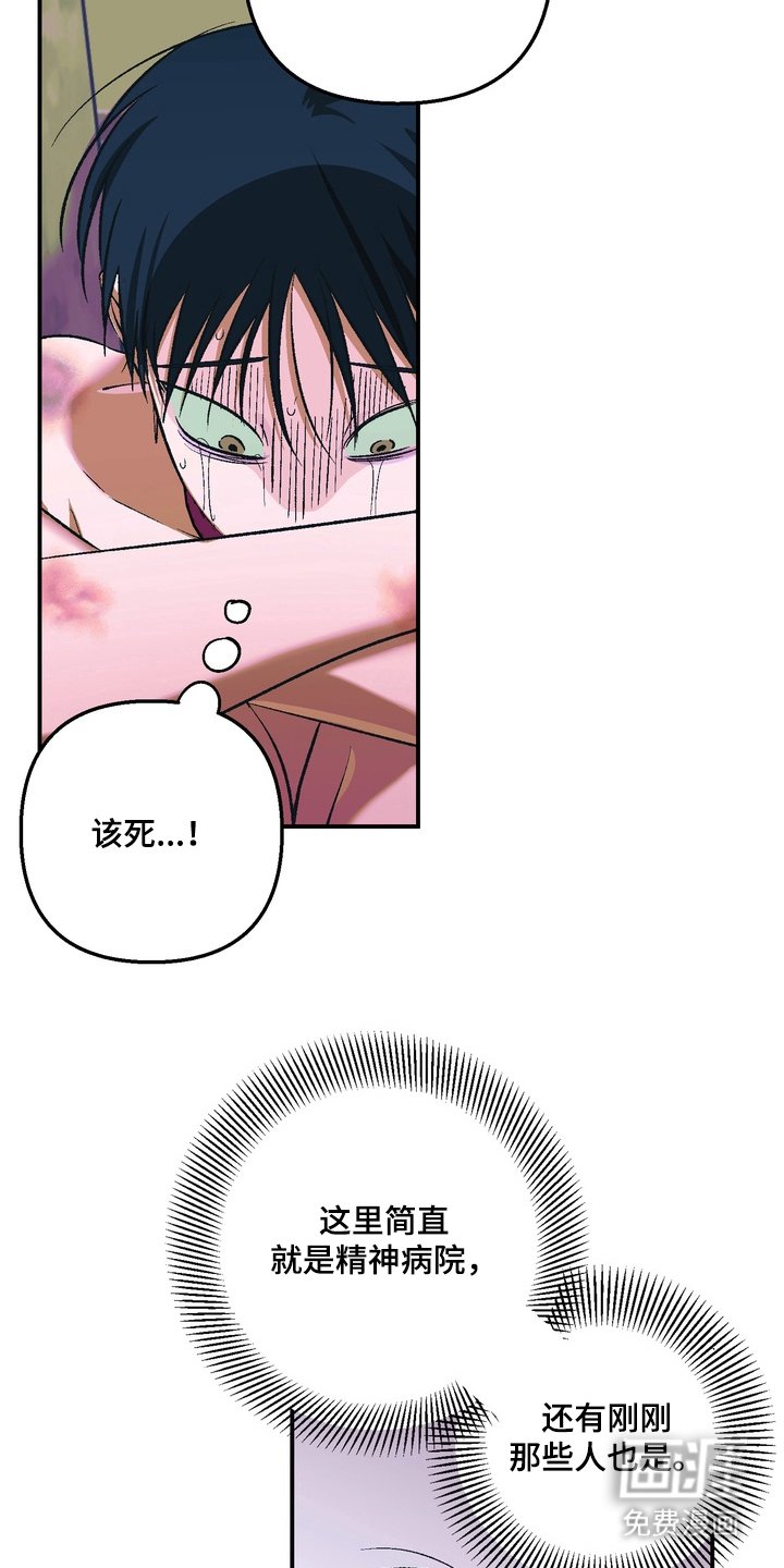 第4章：一周的教育