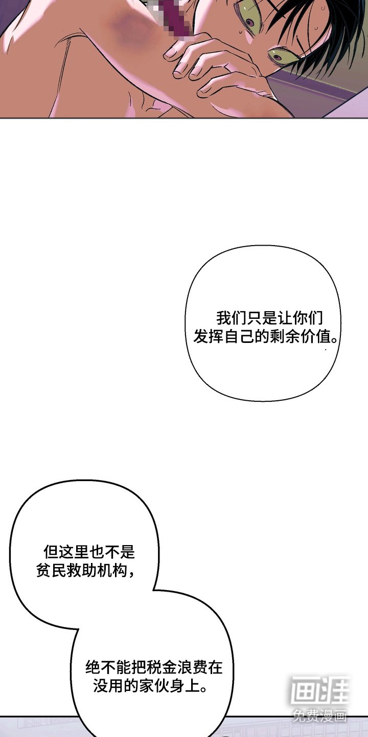 第4章：一周的教育