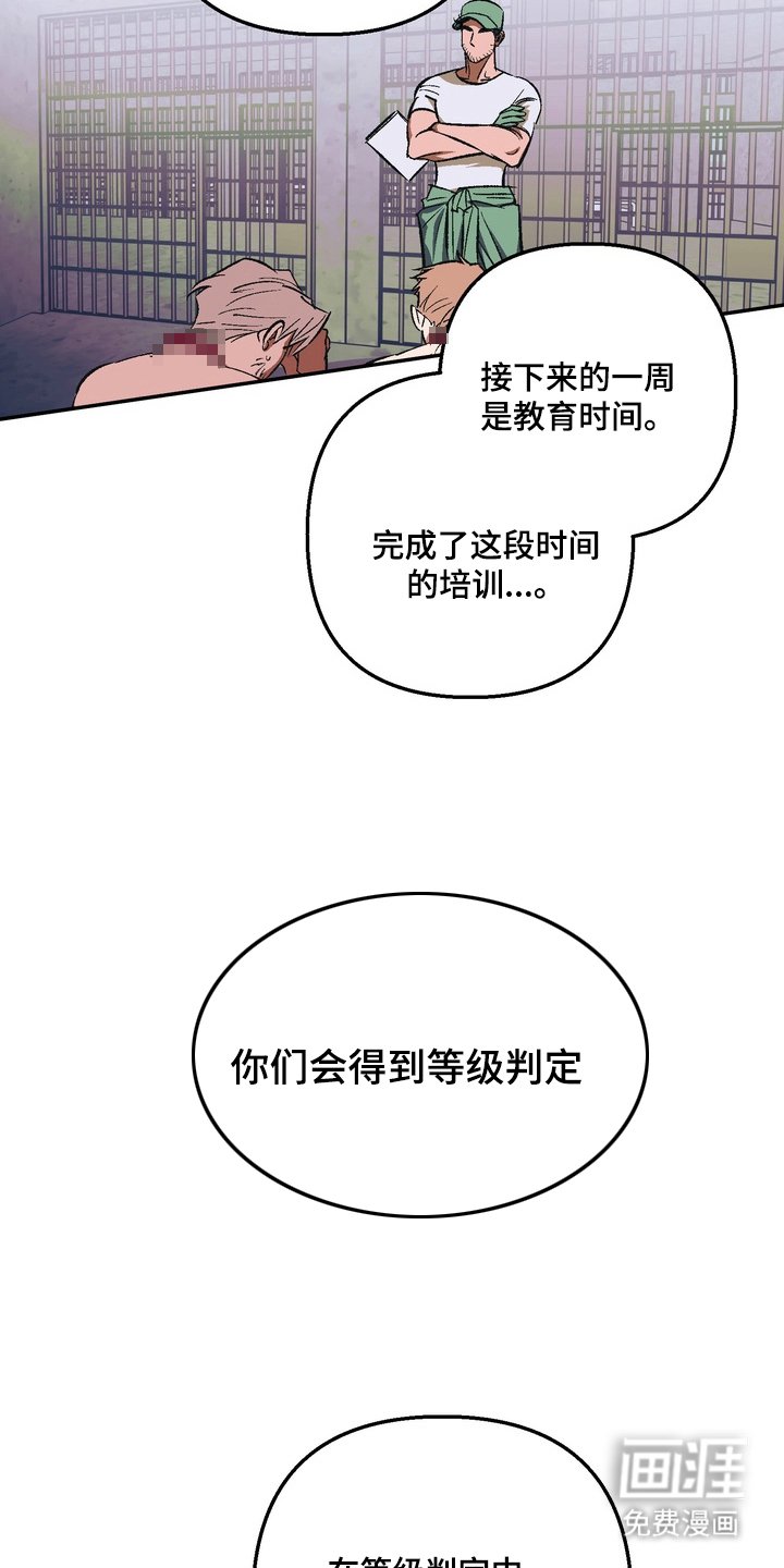 第4章：一周的教育