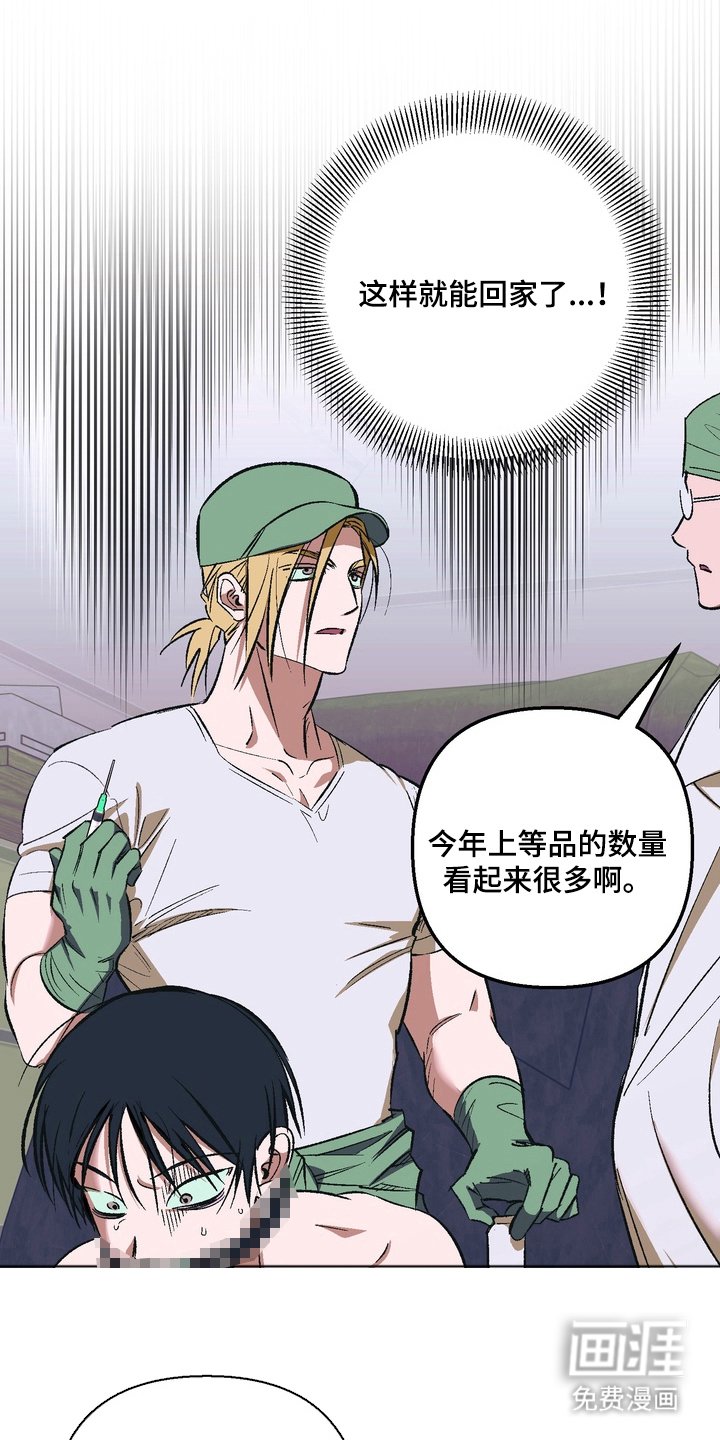 第4章：一周的教育