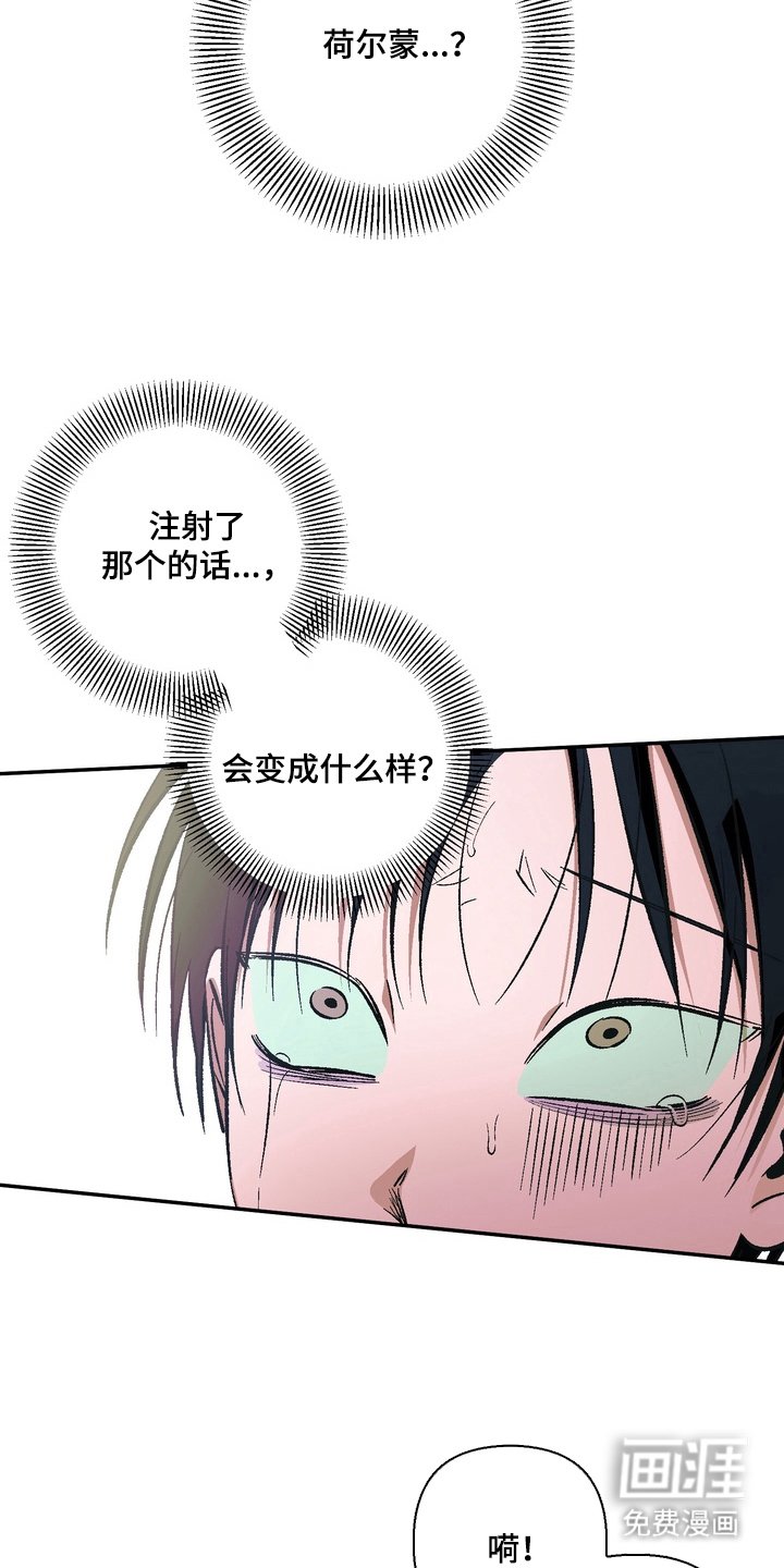 第4章：一周的教育