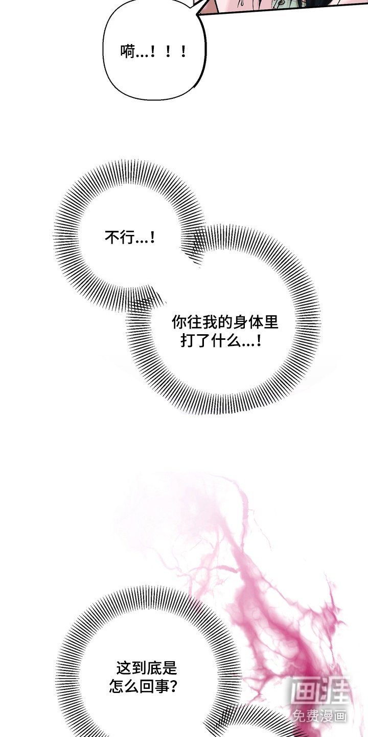 第4章：一周的教育