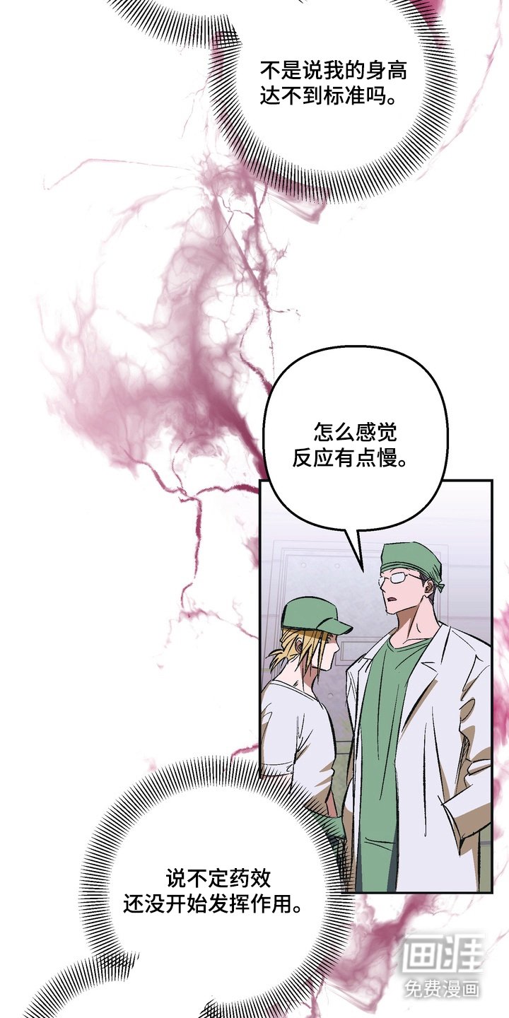 第4章：一周的教育