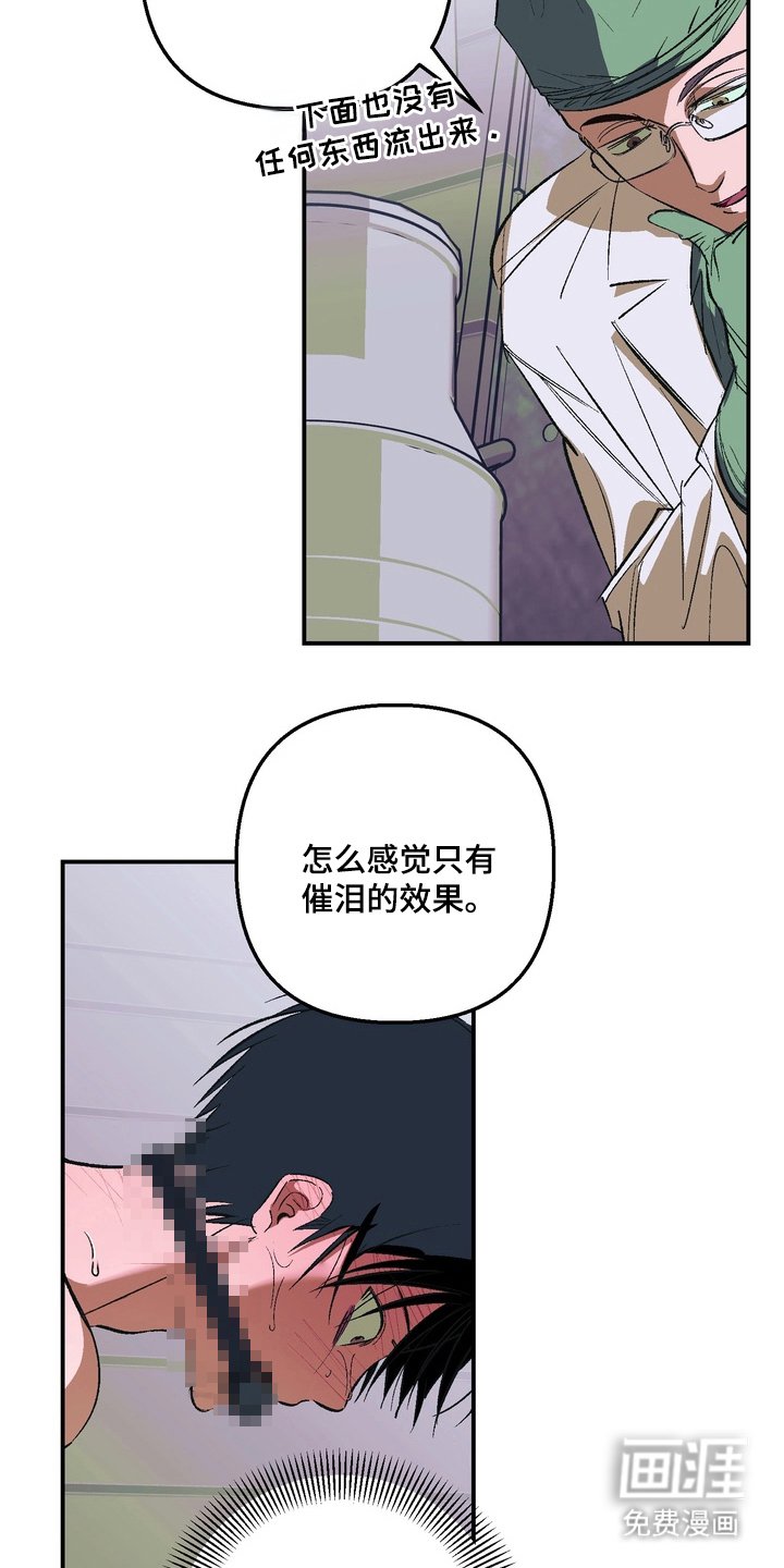 第4章：一周的教育