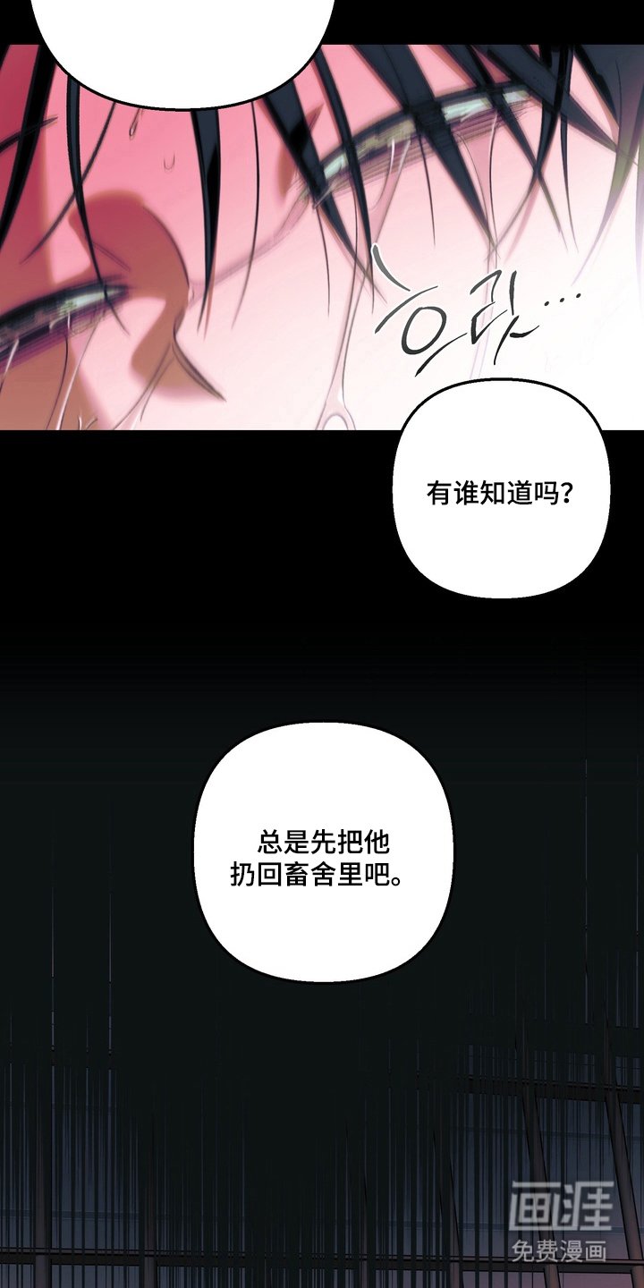 第6章：逃跑